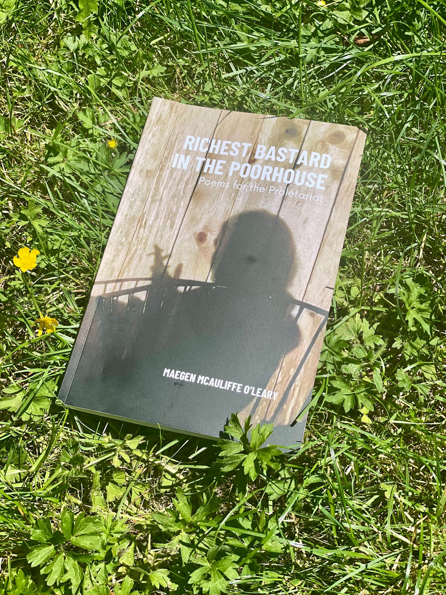 Richest Bastard in the Poorhouse: Poems for the Proletariat | Limited Edition Signed Author’s Copy